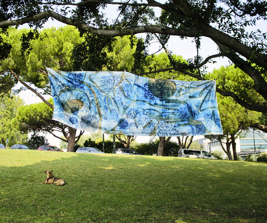 Cyanotype at Picabella Summer Exhibition 2024 - Zimbabwe