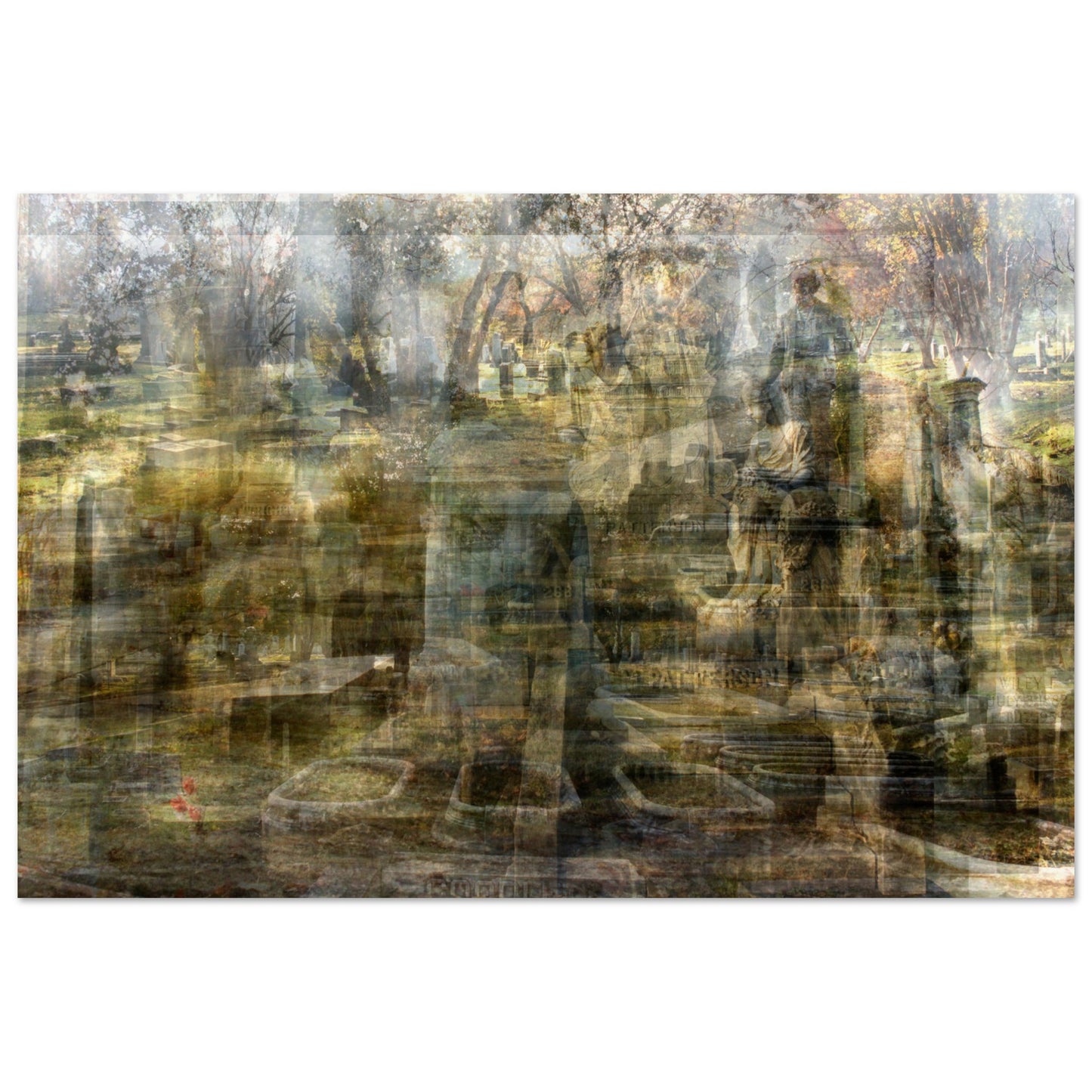 5361f116-d36b-4a51-8ff0-742361f0adf9