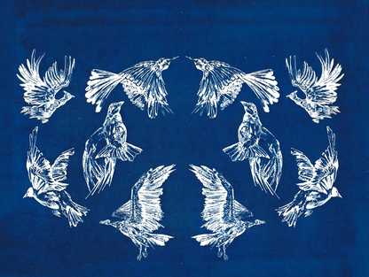 Flock in Motion Cyanotype - Limited Edition