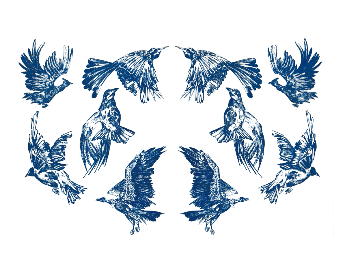 Flock in Motion Cyanotype - Limited Edition