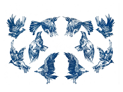 Flock in Motion Cyanotype - Limited Edition
